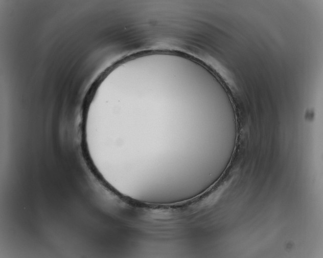 X0000102291126200807251416