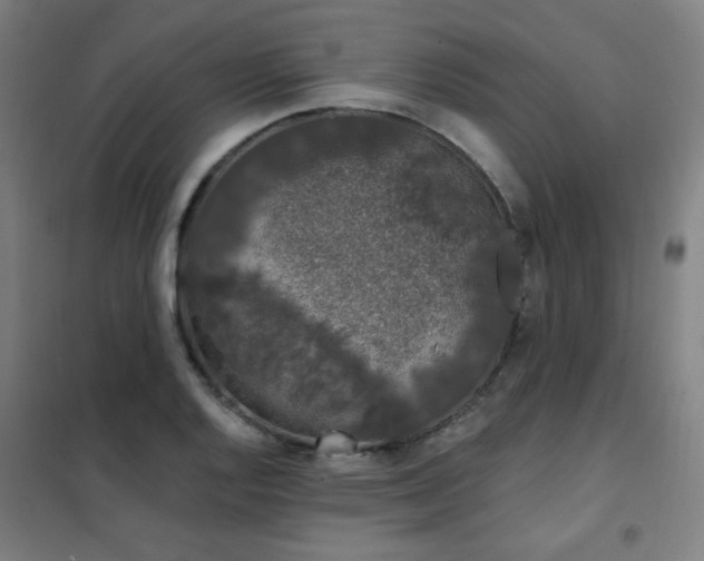 X0000102291128200807251416