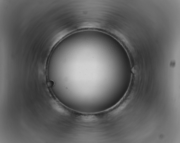 X0000102291129200807251416
