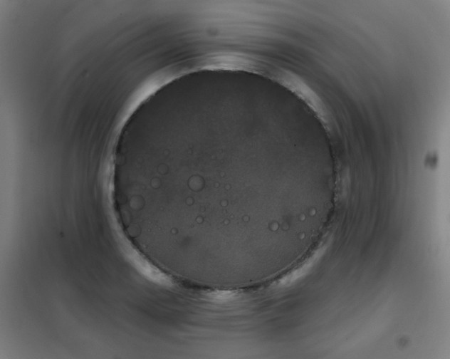 X0000102291130200807251416
