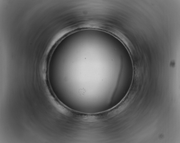 X0000102291131200807251416