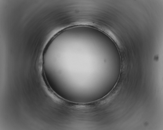 X0000102291132200807251416