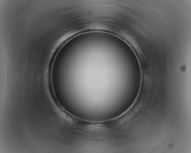 X0000102291133200807251416