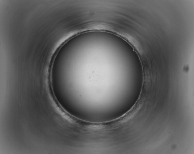 X0000102291134200807251416
