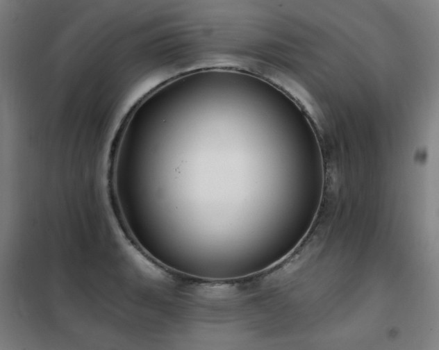 X0000102291135200807251416