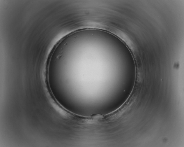 X0000102291136200807251416