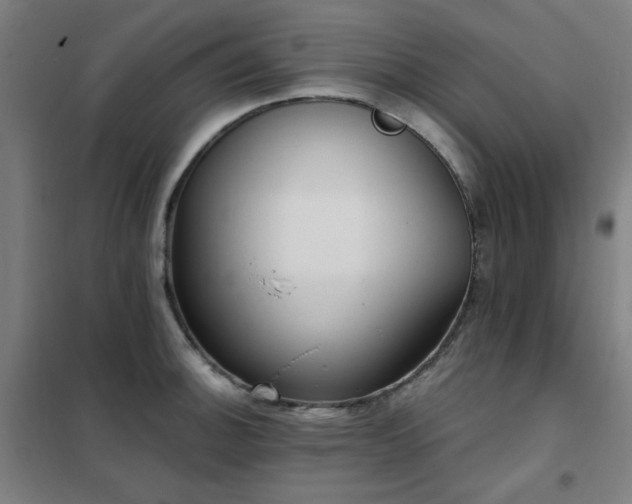 X0000102291140200807251416