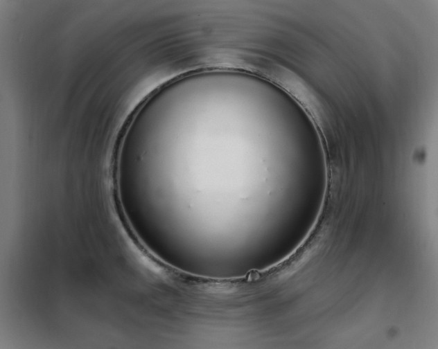 X0000102291141200807251416