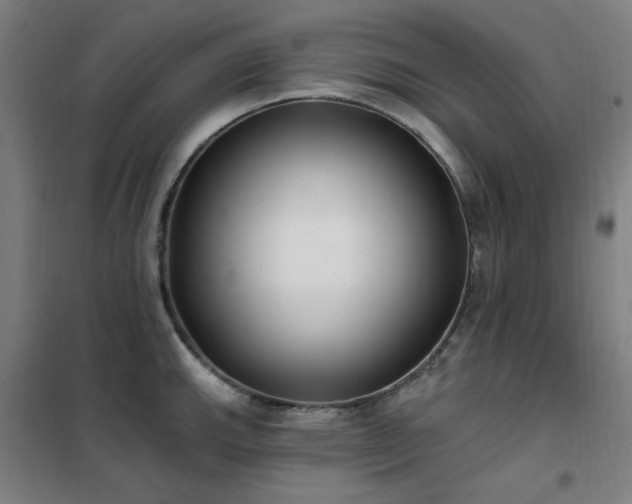 X0000102291143200807251416