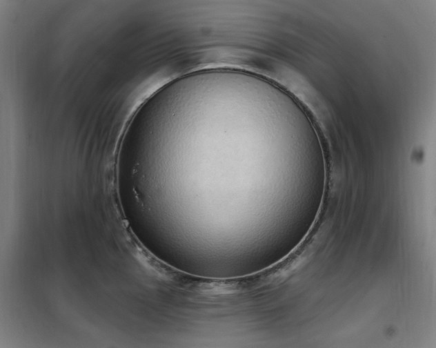 X0000102291145200807251416
