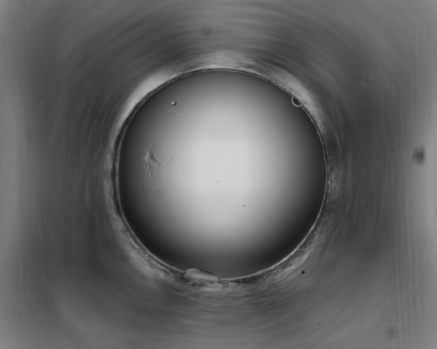 X0000102291146200807251416