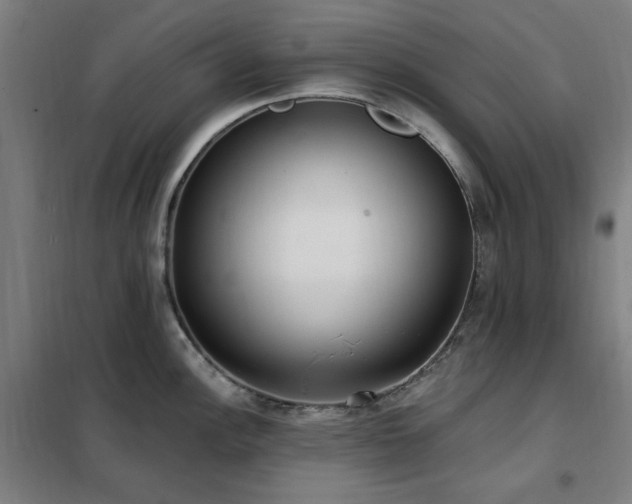 X0000102291148200807251416