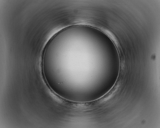 X0000102291149200807251416