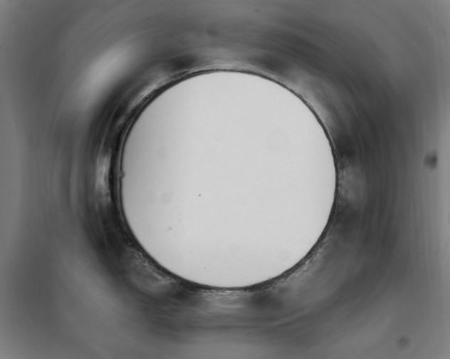 X0000102291150200807251416