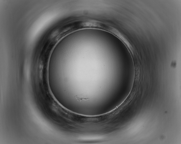 X0000102291151200807251416