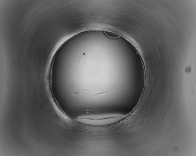X0000102291152200807251416