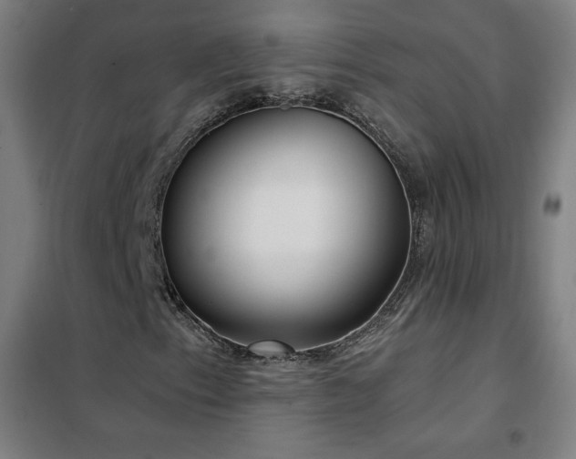 X0000102291153200807251415