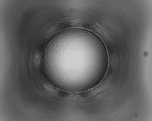 X0000102291154200807251415