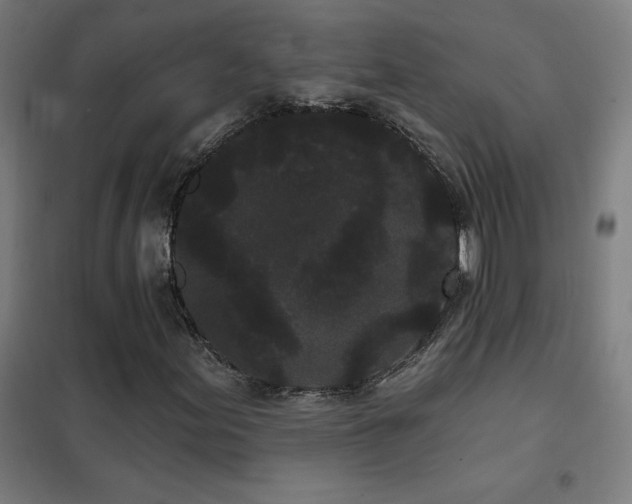 X0000102291155200807251415
