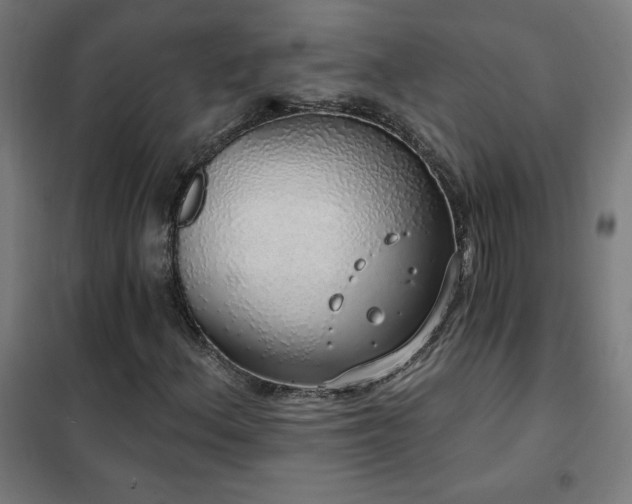 X0000102291156200807251415