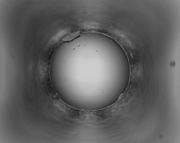 X0000102291157200807251415