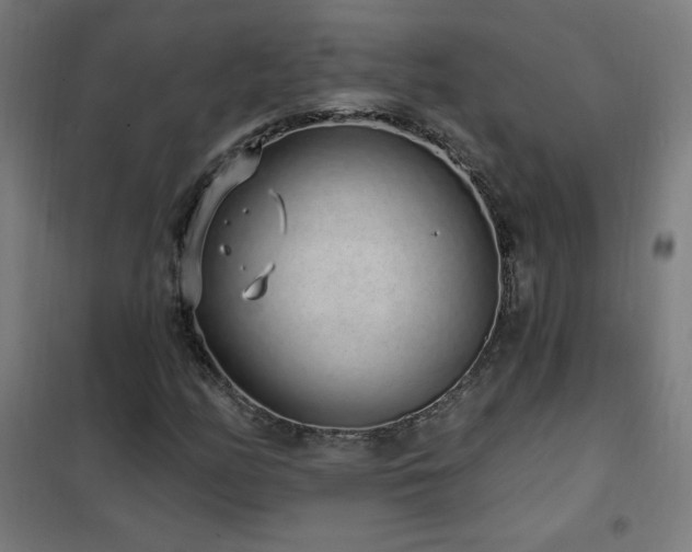 X0000102291158200807251415