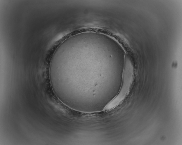 X0000102291159200807251415