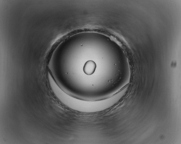 X0000102291160200807251415