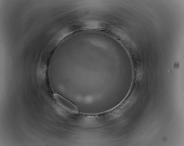 X0000102291161200807251415