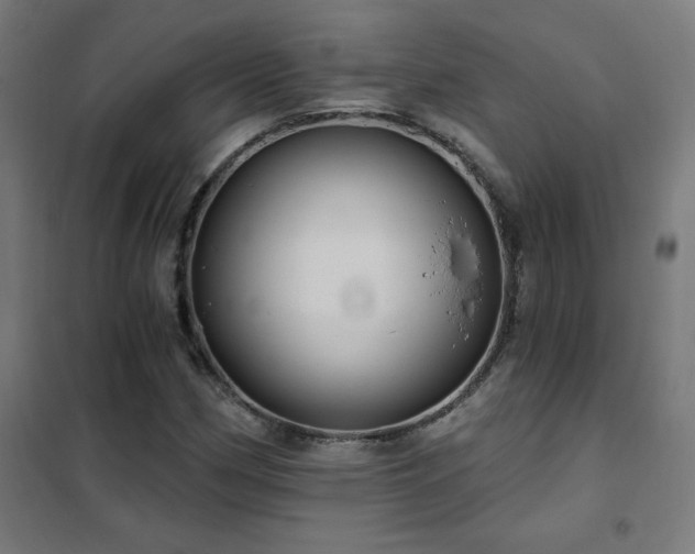 X0000102291162200807251415
