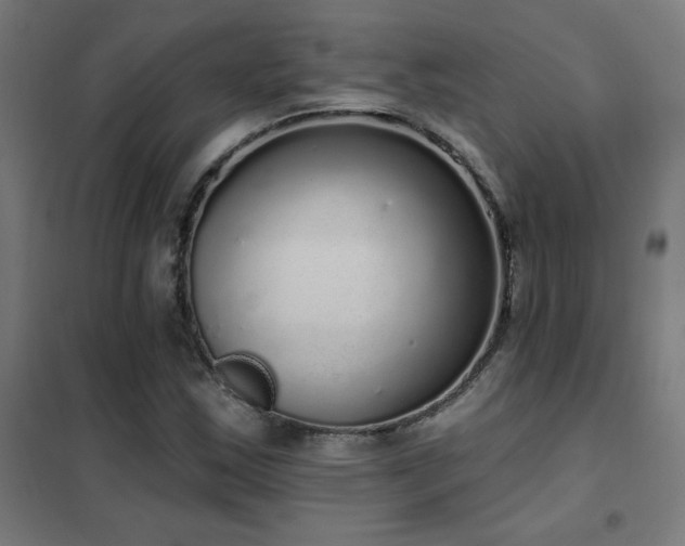 X0000102291163200807251415