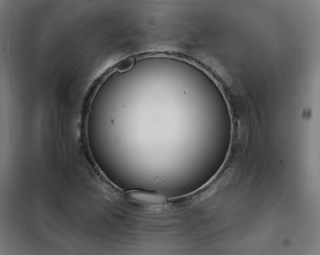 X0000102291165200807251415