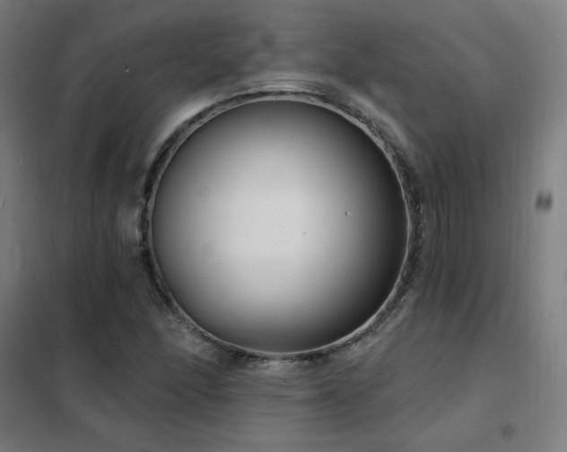 X0000102291166200807251415