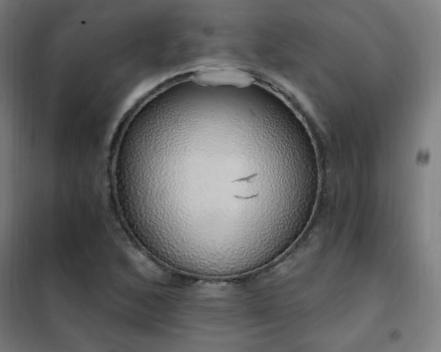 X0000102291168200807251415