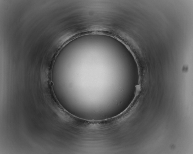 X0000102291169200807251415