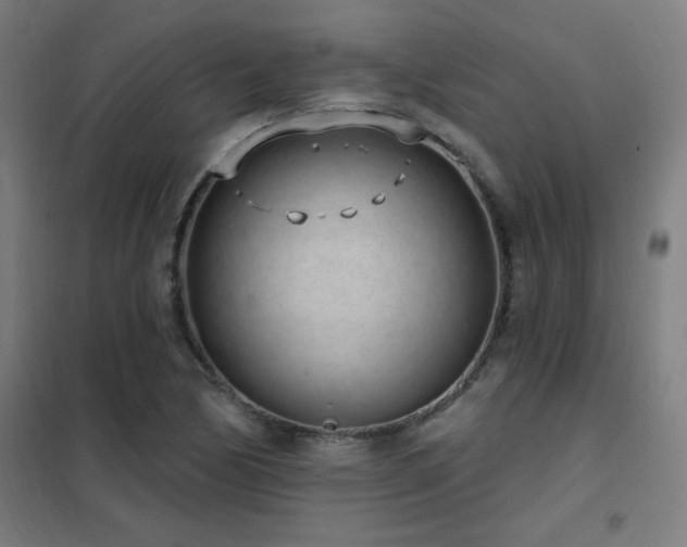 X0000102291170200807251415