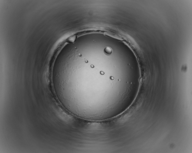 X0000102291172200807251415