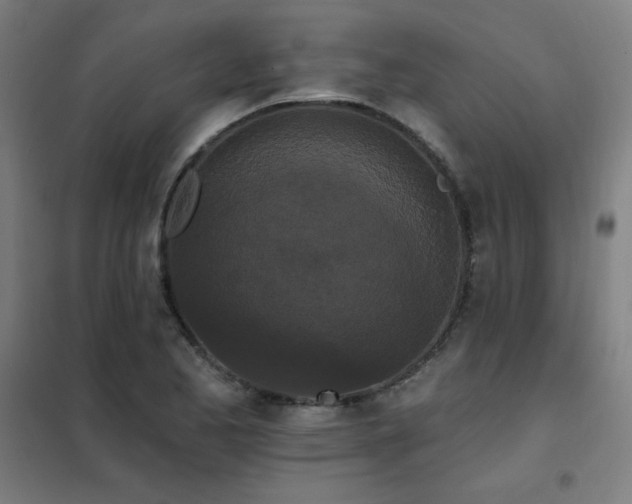 X0000102291173200807251415