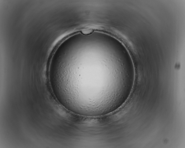 X0000102291174200807251415