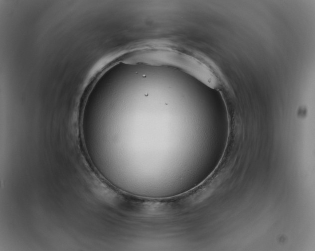 X0000102291176200807251415