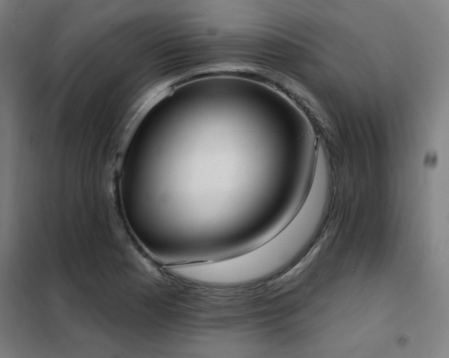 X0000102291177200807251415