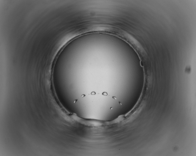 X0000102291178200807251415