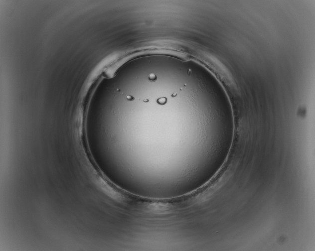 X0000102291180200807251415