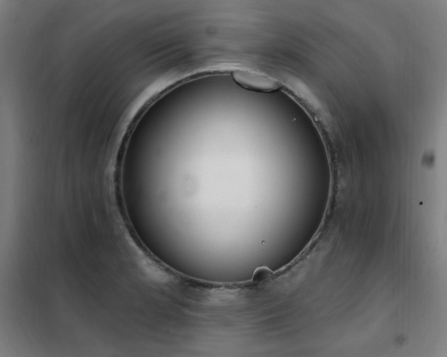 X0000102291181200807251415