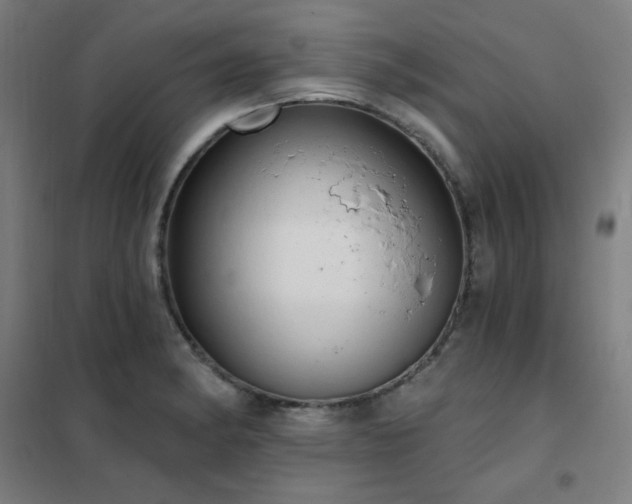 X0000102291182200807251415