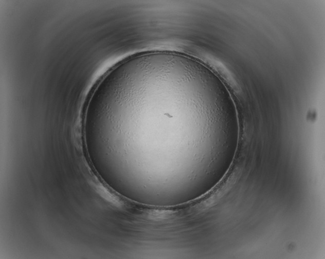 X0000102291184200807251414