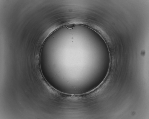 X0000102291185200807251414