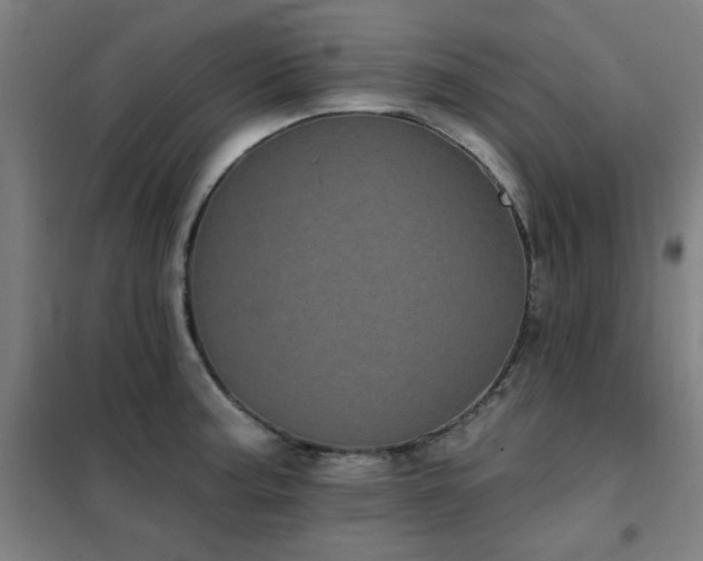 X0000102291187200807251414