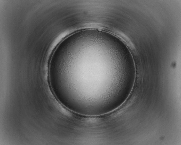 X0000102291188200807251414