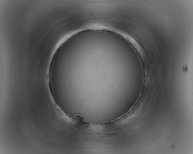 X0000102291191200807251414